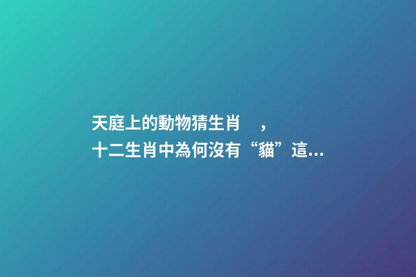 天庭上的動物猜生肖，十二生肖中為何沒有“貓”這一屬相